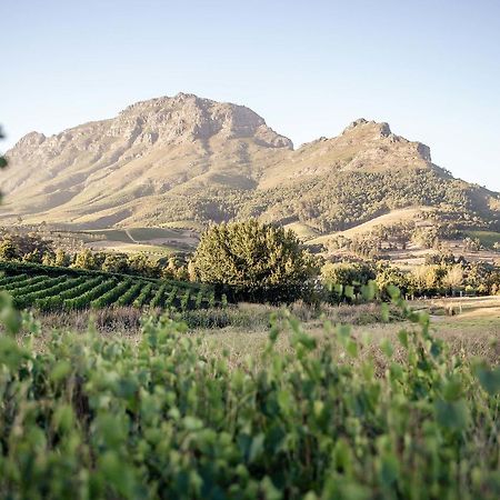 Вилла Le Pommier Wine Estate Стелленбос Экстерьер фото