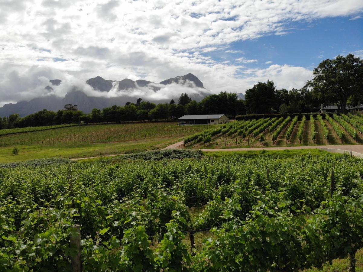 Вилла Le Pommier Wine Estate Стелленбос Экстерьер фото