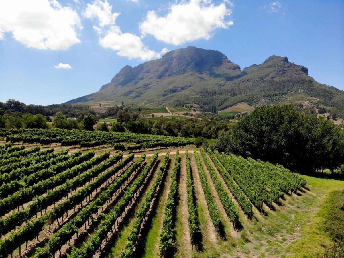 Вилла Le Pommier Wine Estate Стелленбос Экстерьер фото