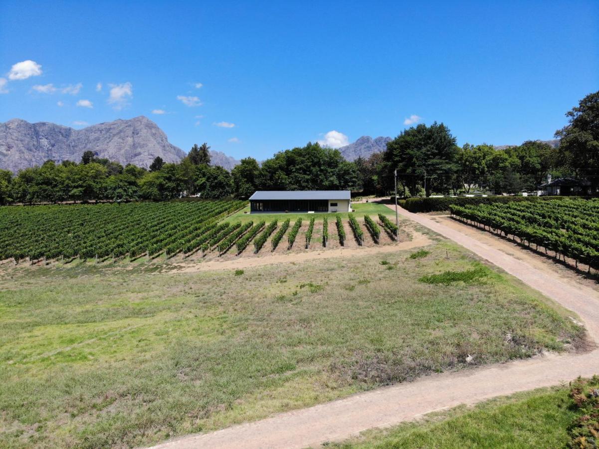 Вилла Le Pommier Wine Estate Стелленбос Экстерьер фото