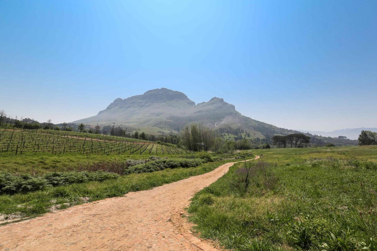 Вилла Le Pommier Wine Estate Стелленбос Экстерьер фото